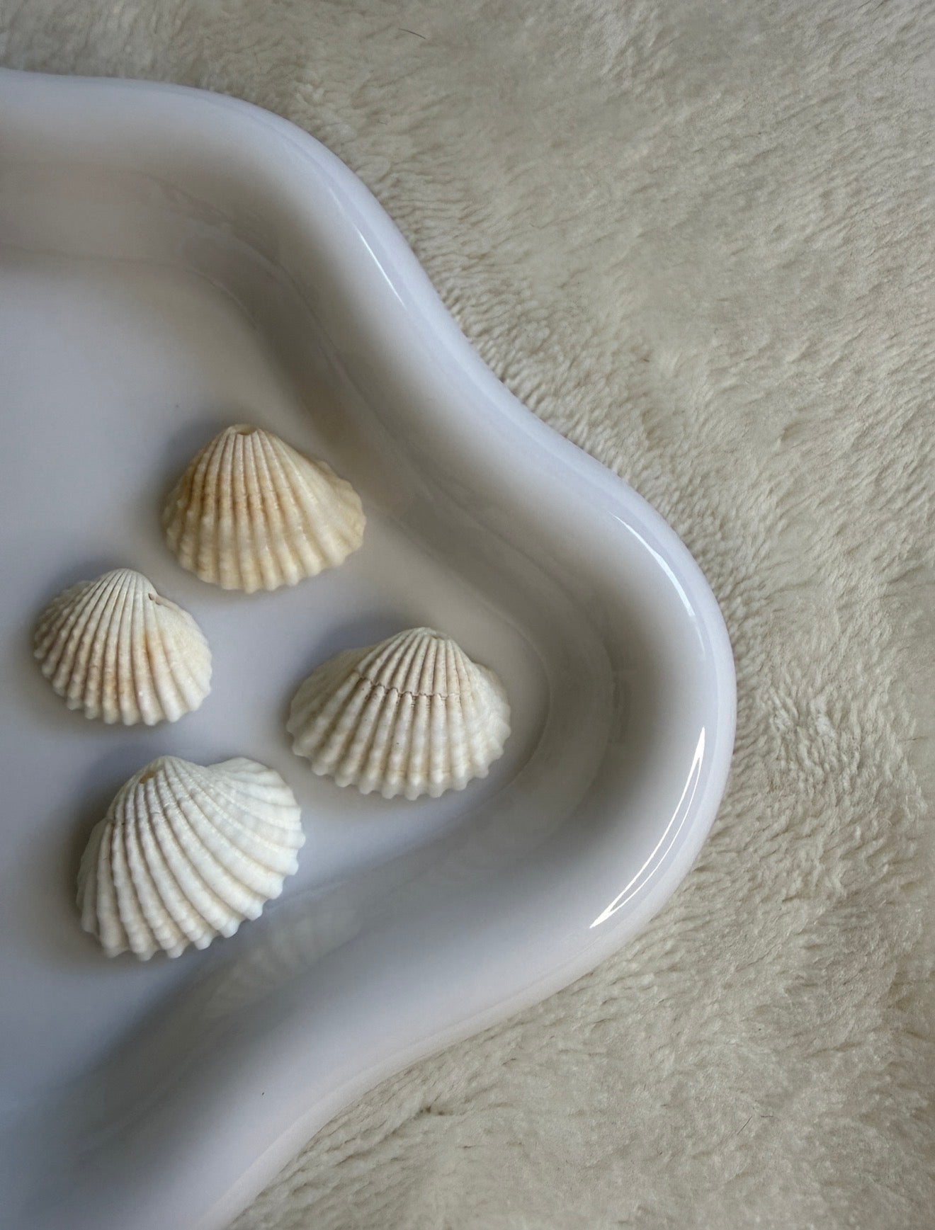 Charms vrai coquillage blanc